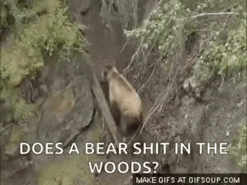 bear-woods.gif