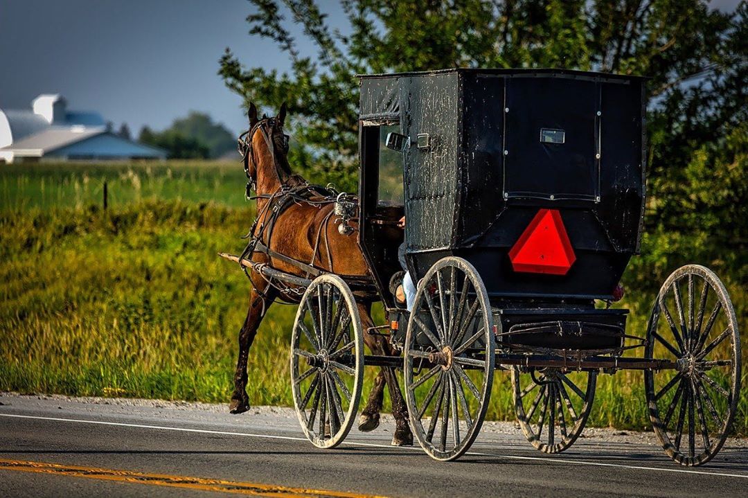 amish-buggy-sighting.jpg