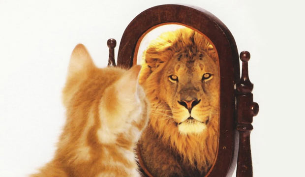 cat-lion-mirror.jpg