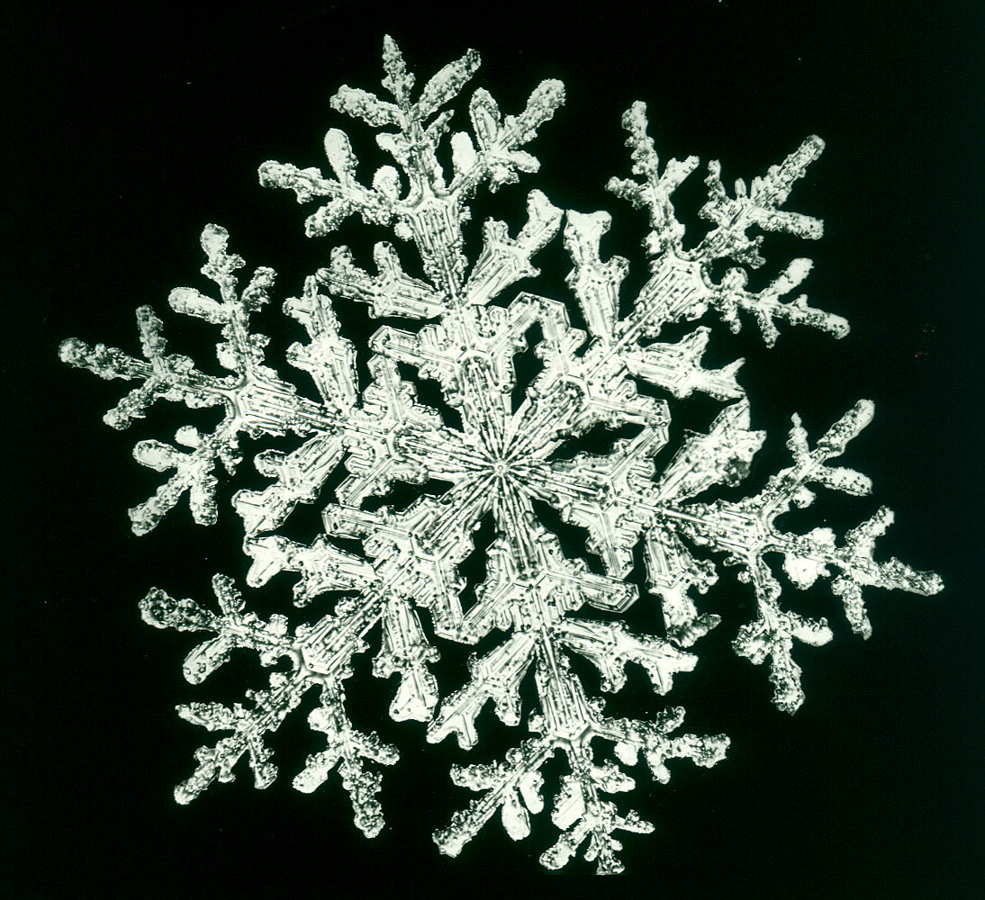 snowflake0572.jpg