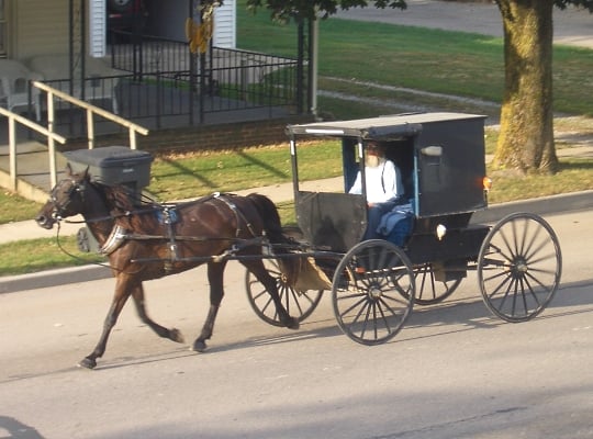 amish-buggy.jpg