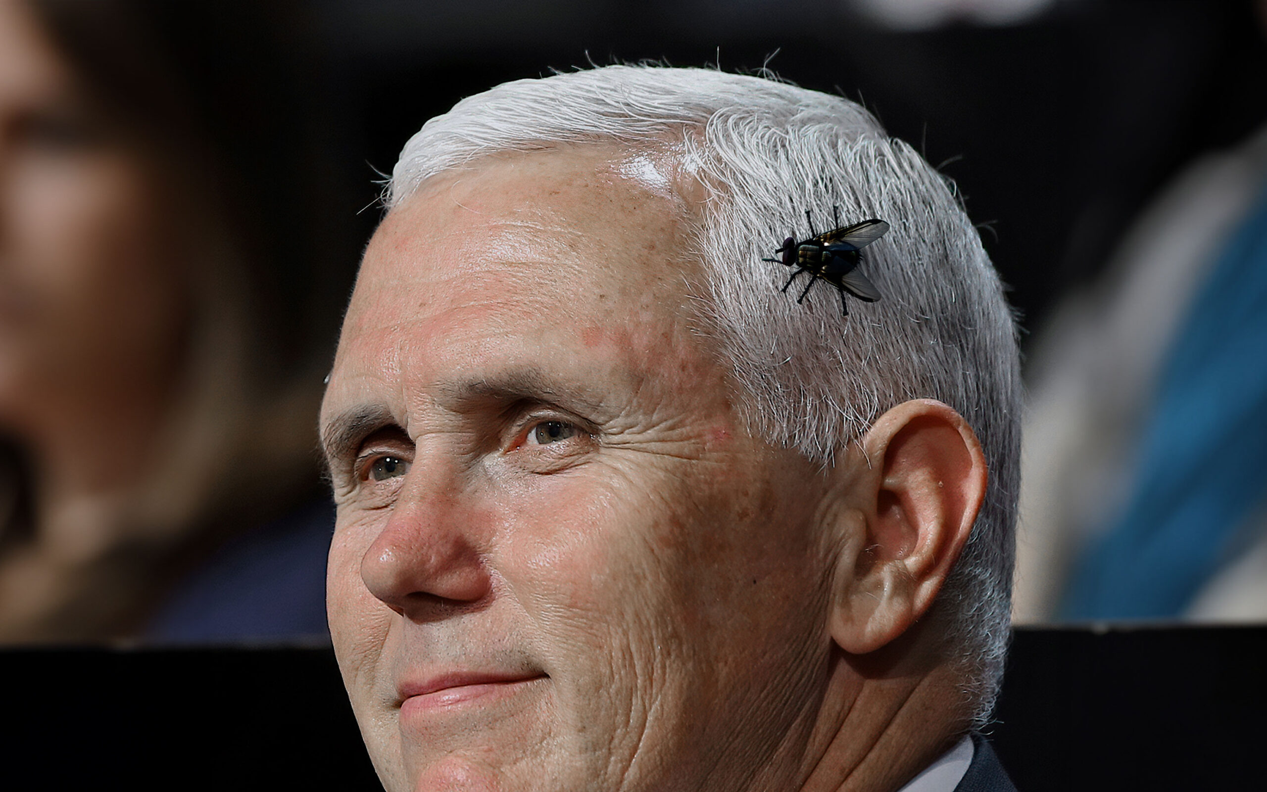 pence-scaled.jpg