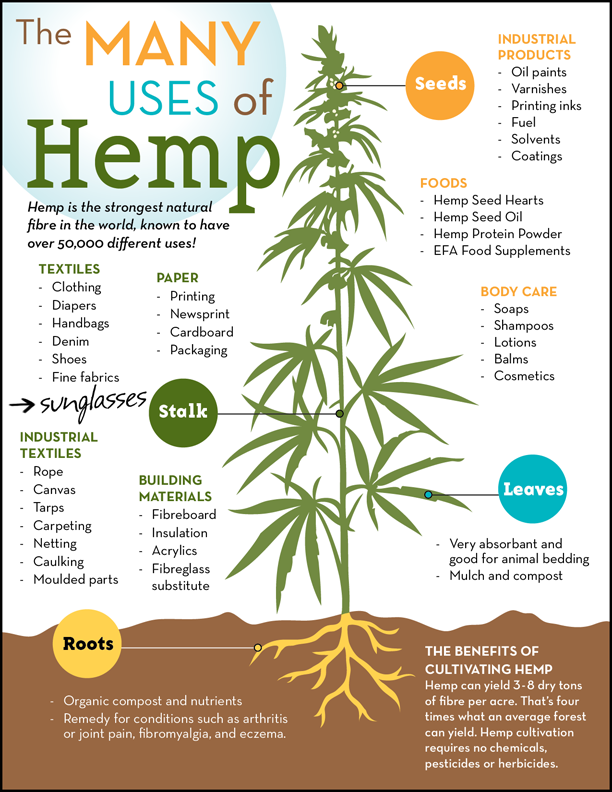 Uses_of_Hemp_Poster.png