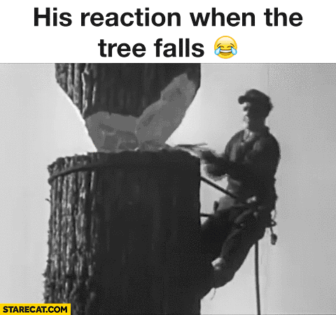 his-reaction-when-the-tree-falls-man-chopping-gif-animation-looped.gif