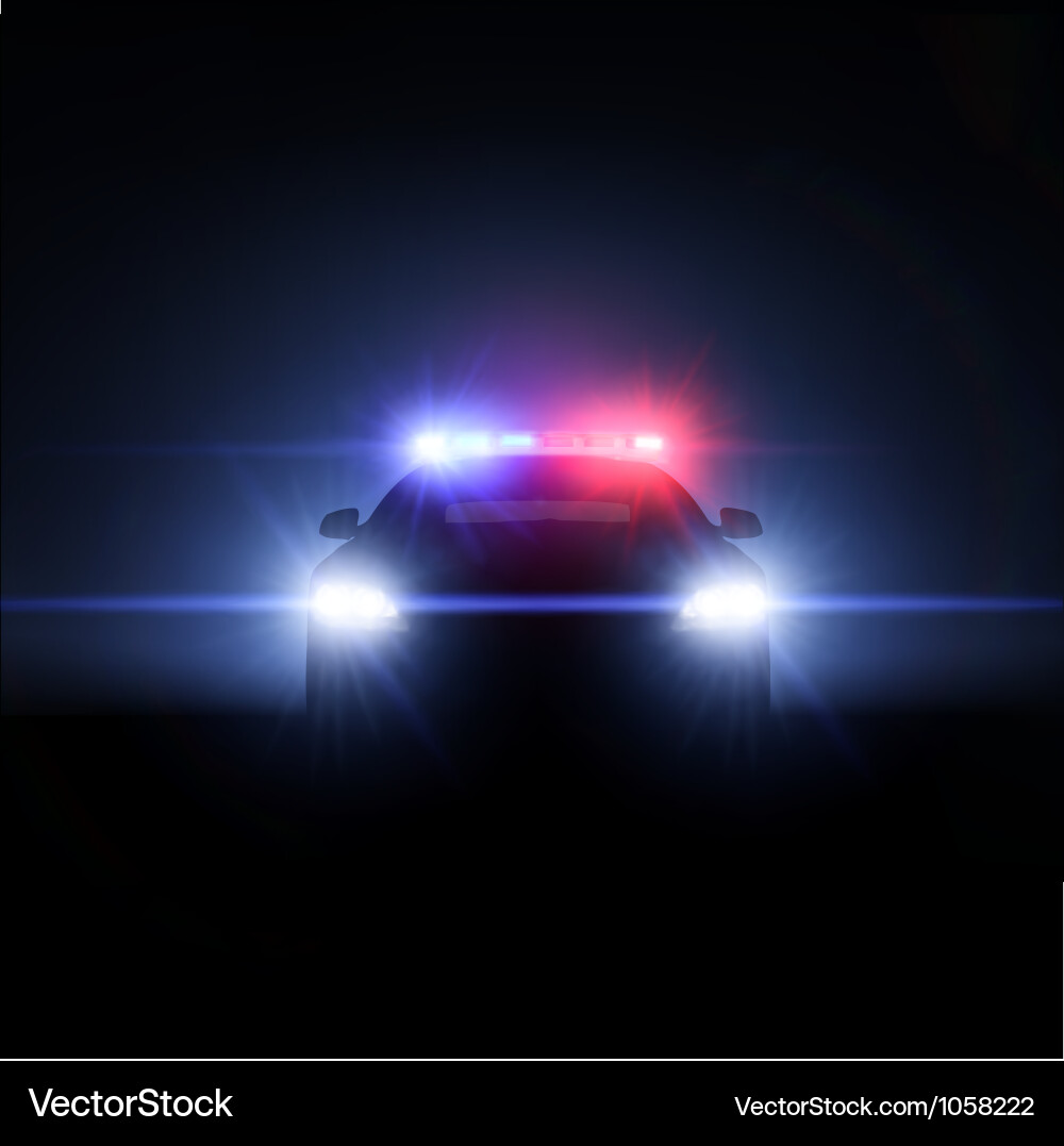 police-car-with-full-array-of-lights-vector-1058222.jpg